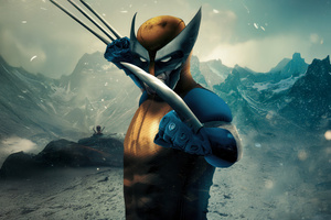 Vigil Wolverine (2560x1440) Resolution Wallpaper