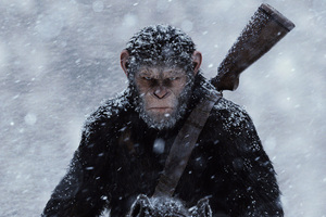 War For The Planet Of The Apes 2017 Movie (1024x768) Resolution Wallpaper