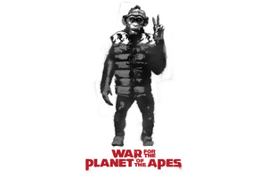 War For The Planet Of The Apes 4k