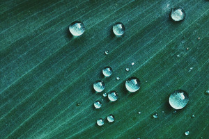 Water Drop On Green Textile Macro
