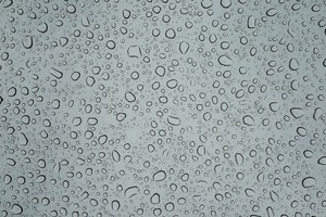 Water Drop Raindrop 4k