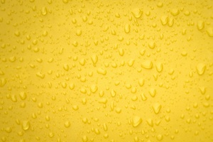 Water Drops Yellow Surface Back 4k (2048x2048) Resolution Wallpaper