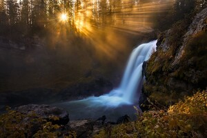 Waterfall In Forest Sunbeam Trees