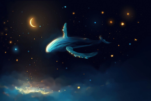 Whale Day 5k (2560x1700) Resolution Wallpaper