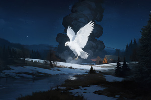 White Dove Wings Of Peace (1280x1024) Resolution Wallpaper