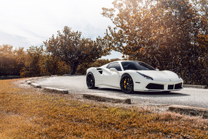 White Ferrari 488 8k
