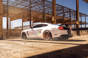 White Ford Mustang Shelby Gt500 Wallpaper