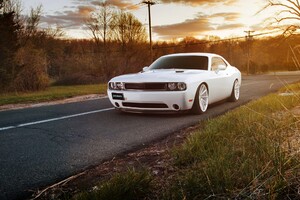 White Muscle Car