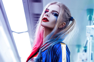 Who Mess With Harley Quinn Again 5k