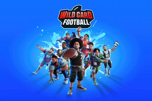 Wild Card Football (2560x1440) Resolution Wallpaper