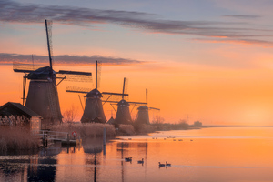 Windmill Village In Netherlands (2560x1440) Resolution Wallpaper