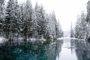Winter Cold Lake Wallpaper