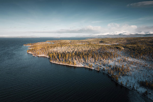 Winter Sea Trees Aerial View 5k (2560x1024) Resolution Wallpaper