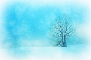 Winter Snowflakes Tree 4k