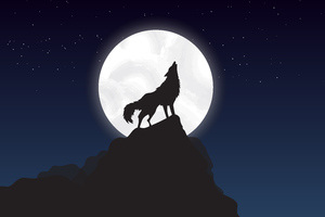 Wolf Howling Night Illustration Wallpaper