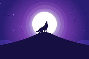 Wolf Silhouette Illustration 5k (1920x1080) Resolution Wallpaper