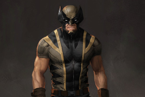 Wolverine Marvel Hero