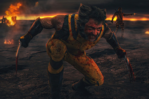 Wolverine Razor Sharp Intensity (3840x2160) Resolution Wallpaper