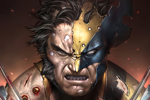 Wolverine Sketch Art 4k