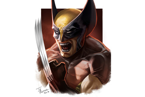 Wolverine4kart