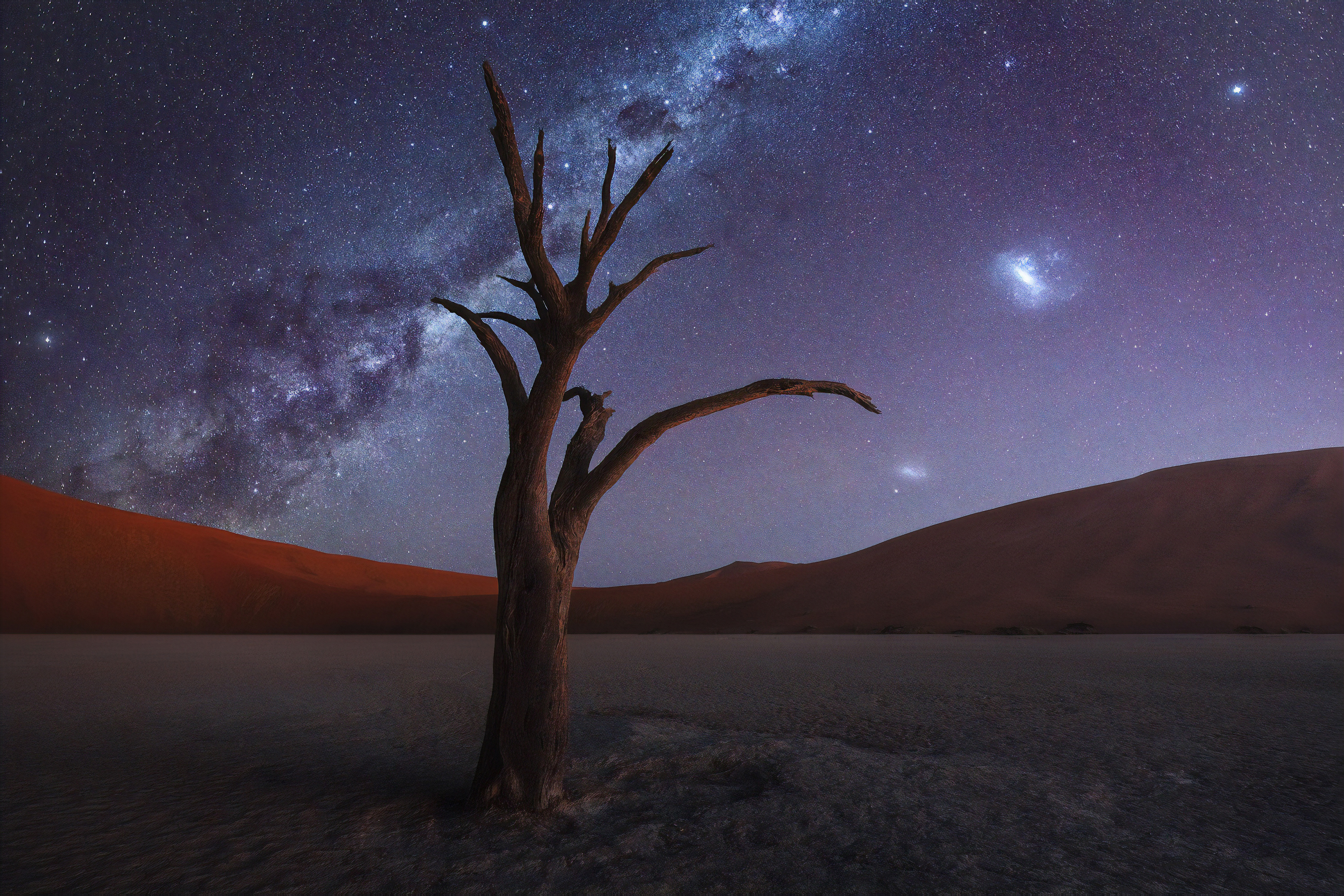 Tree Desert Milky Way 4k, HD Nature, 4k Wallpapers, Images, Backgrounds,  Photos and Pictures