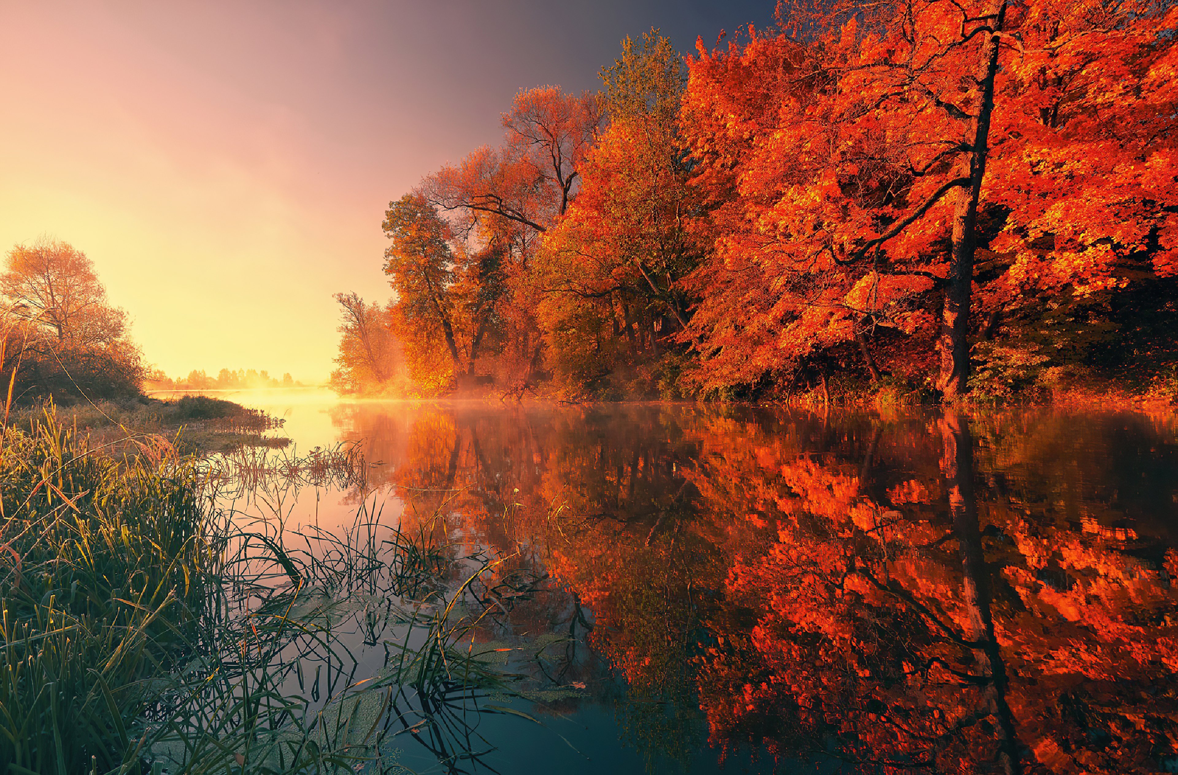 Autumn 4K wallpapers for your desktop or mobile screen free and easy to  download