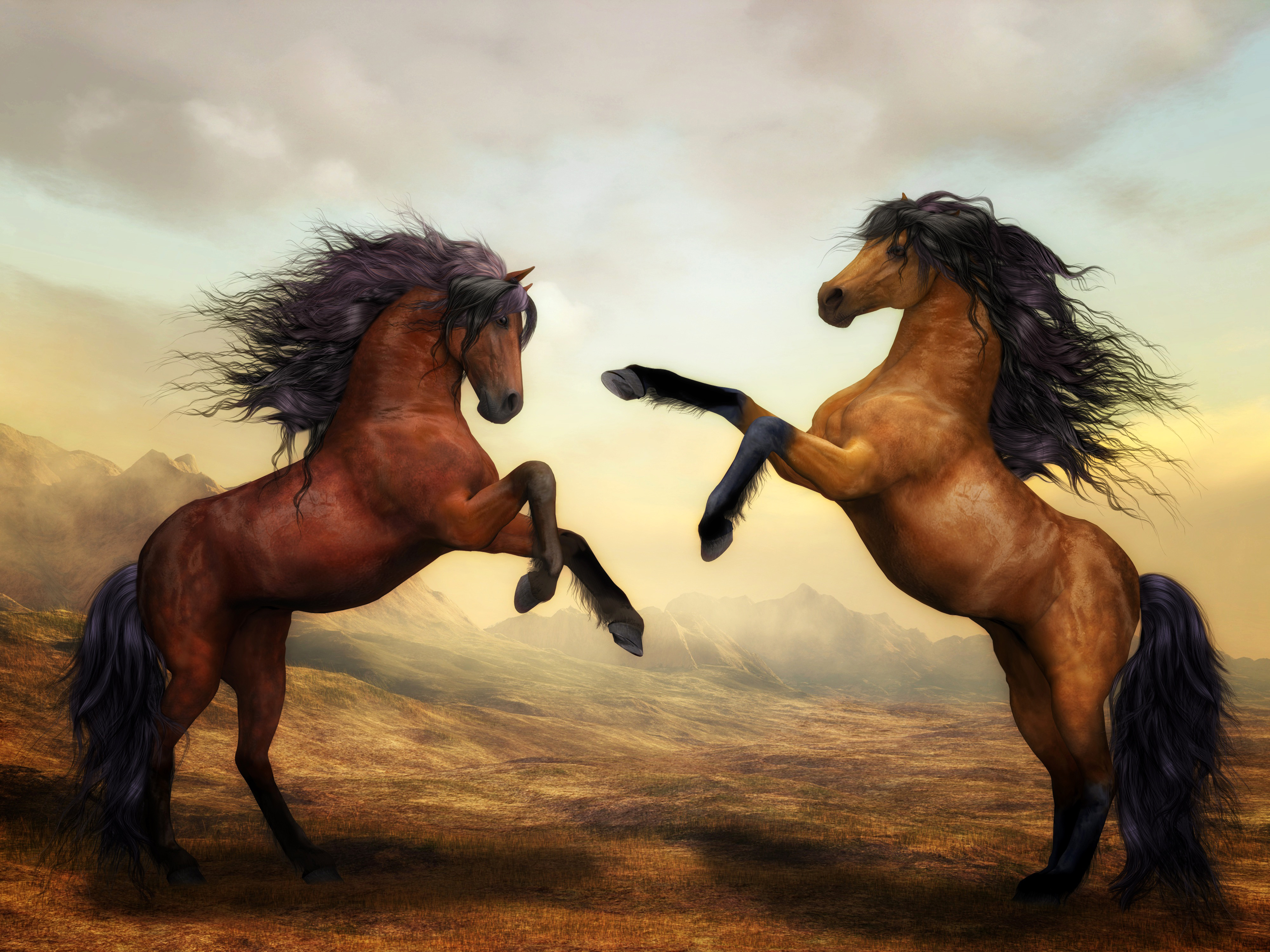 Two Horses Dance 4k, HD Artist, 4k Wallpapers, Images, Backgrounds