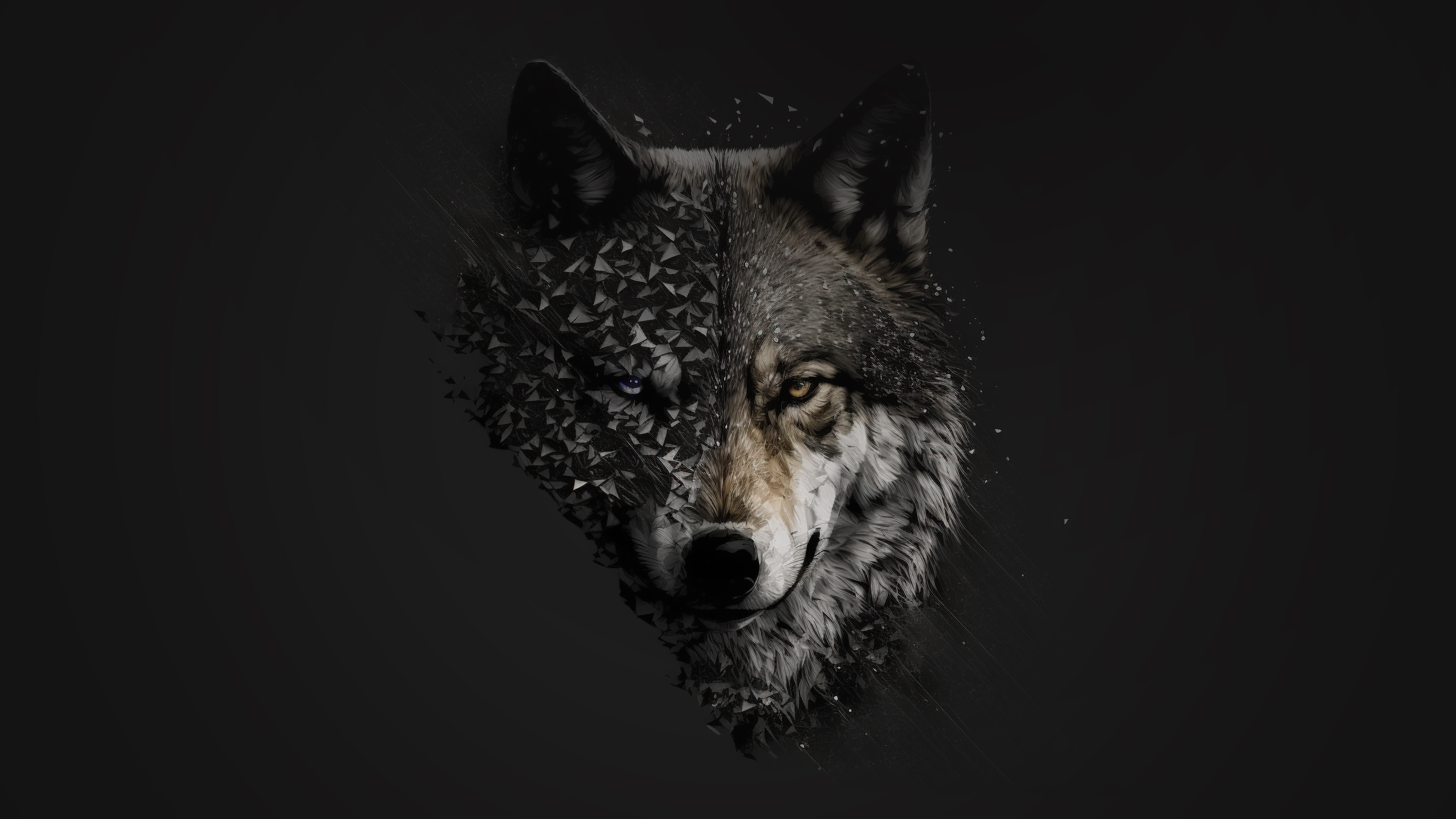 Wolf Ultra HD Wallpapers - Wallpaper Cave