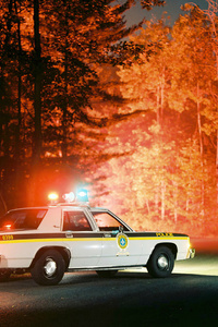 1987 Ford LTD Crown Victoria S Police Package