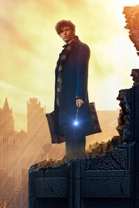 2016 Fantastic Beasts And Where To Find Them (480x800) Resolution Wallpaper