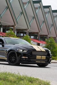 2016 Ford Shelby GT H