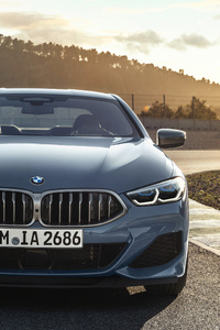 2019 BMW M850i XDrive