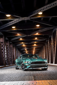 2019 Ford Mustang Bullitt (1440x2960) Resolution Wallpaper