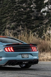 2019 Roush Performance Stage 3 Mustang Gt Rear