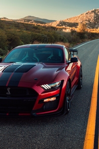 2020 Ford Mustang Shelby GT500 4k