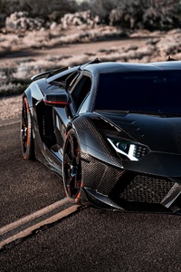 2021 Lamborghini Aventador S Carbonado 5k (360x640) Resolution Wallpaper