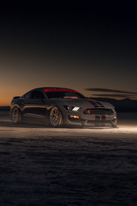 1242x2688 2022 Ford Shelby Gt350