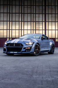 2023 Ford Mustang Shelby Gt500 Heritage Edition (640x1136) Resolution Wallpaper