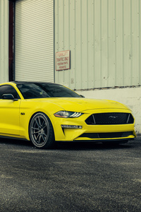 2023 Ford Mustang Velgen Yellow 8k