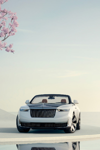 2024 Rolls Royce Droptail Arcadia Car (1242x2668) Resolution Wallpaper