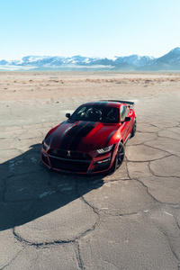 2025 Ford Mustang Shelby Gt500 (1080x1920) Resolution Wallpaper