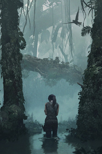 480x854 4k Shadow Of The Tomb Raider