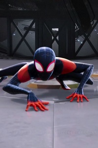 4k SpiderMan Into The Spider Verse Movie (240x320) Resolution Wallpaper