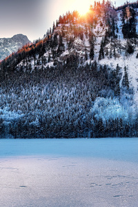 5k Mountains Covered In Snow (480x800) Resolution Wallpaper