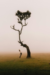 A Lone Tree And Me (480x800) Resolution Wallpaper