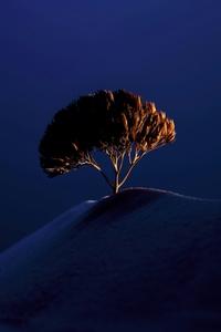 A Lone Tree Sitting On The Top Of Mountains (320x568) Resolution Wallpaper