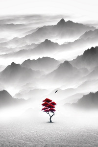 A Red Plant In Monochrome Serenity (540x960) Resolution Wallpaper