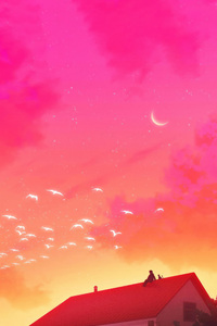 A Rooftop Retreat With Furry Friend (320x480) Resolution Wallpaper