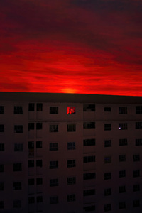 A Single Red Room In The City Of Red Skies (540x960) Resolution Wallpaper