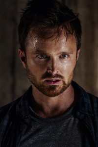 Aaron Paul As Eddie Cleary In The Path Tv Series (800x1280) Resolution Wallpaper